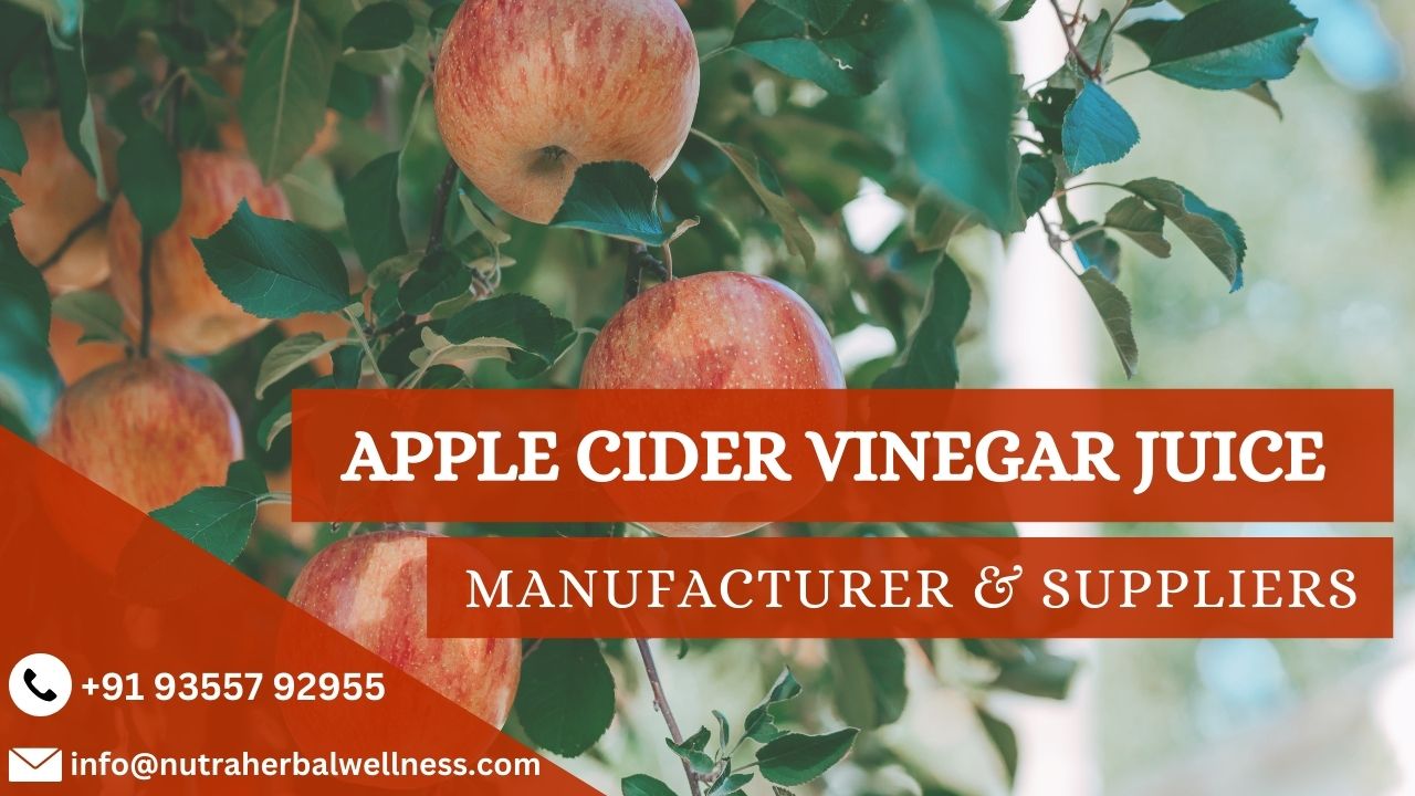 Apple Cider Vinegar Juice Manufacturer & Suppliers