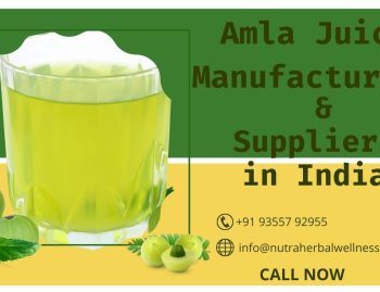 Amla Juice Manufacturers & Suppliers in India