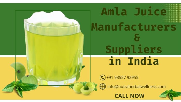 Amla Juice Manufacturers & Suppliers in India