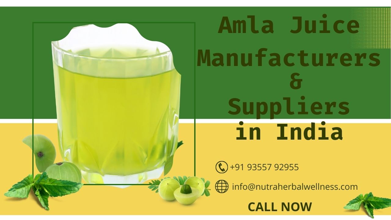 Amla Juice Manufacturers & Suppliers in India