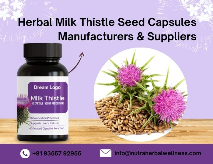 Herbal Milk Thistle Seed Capsules Manufacturers & Suppliers