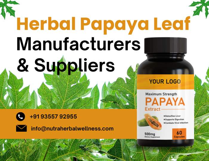 Herbal Papaya Leaf Capsules Manufacturers & Suppliers