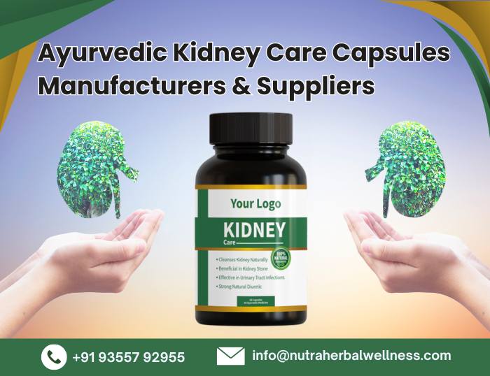 Ayurvedic Kidney Care Capsules Manufacturers & Suppliers