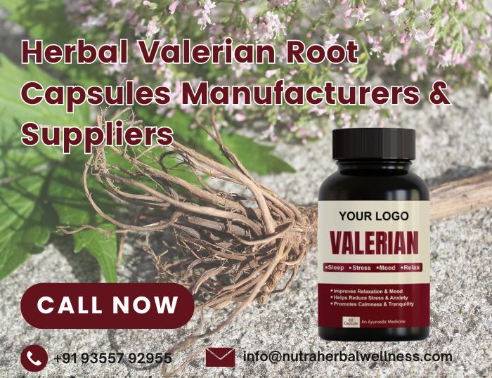 Herbal Valerian Root Capsules Manufacturers, Herbal Valerian Root Capsules Manufacturers & Suppliers