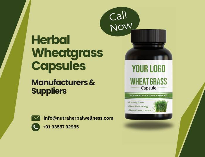 Herbal Wheatgrass Capsules Manufacturers & Suppliers