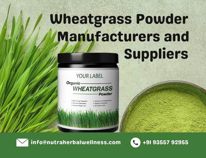 Wheatgrass Powder Manufacturers and Suppliers