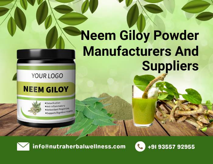 Neem Giloy Powder Manufacturers and Suppliers