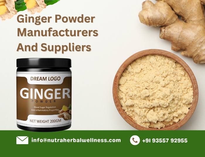 Ginger Powder Manufacturers and Suppliers