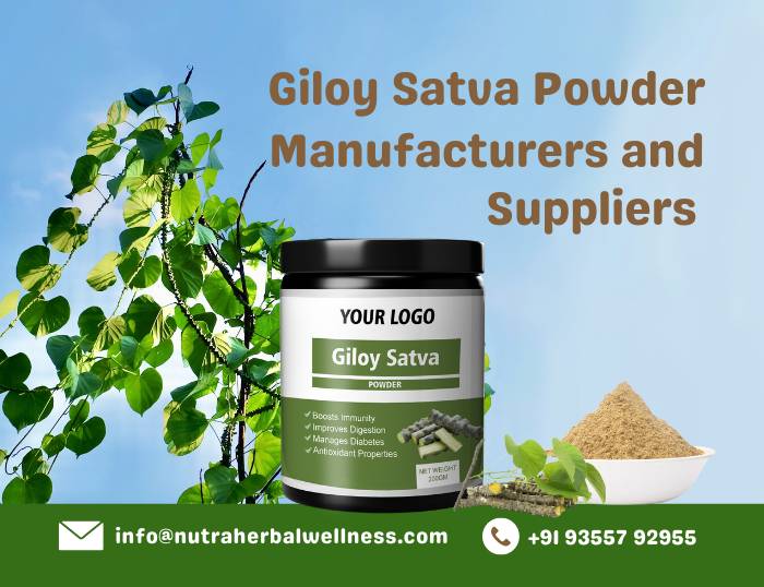 Giloy Satva Powder Manufacturers and Suppliers