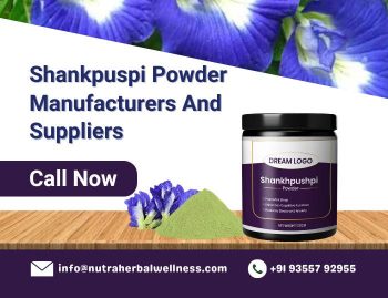 Shankpuspi Powder Manufacturers and Suppliers