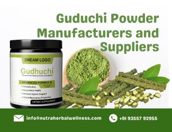 Guduchi Powder Manufacturers and Suppliers