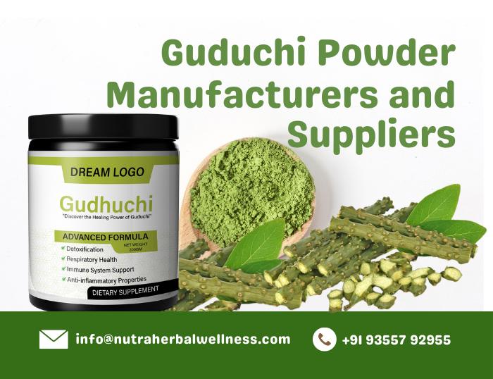 Guduchi Powder Manufacturers and Suppliers