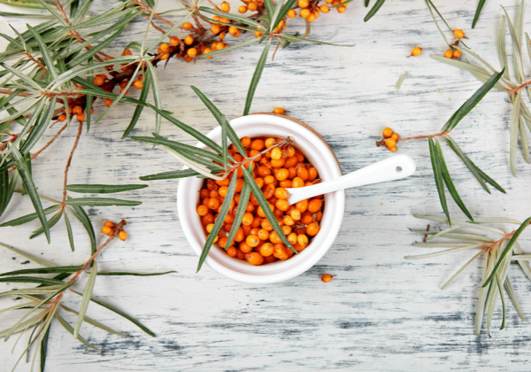 Sea Buckthorn Capsules Manufacturer